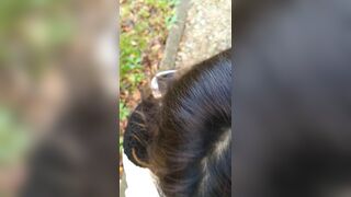 Japanese Girl Giving me a Blowjob in a Japanese Public Park - Public