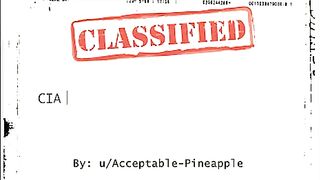 CLASSIFIED - Political Raceplay